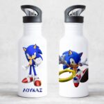 Stainless Steel Straw Bottle Sonic